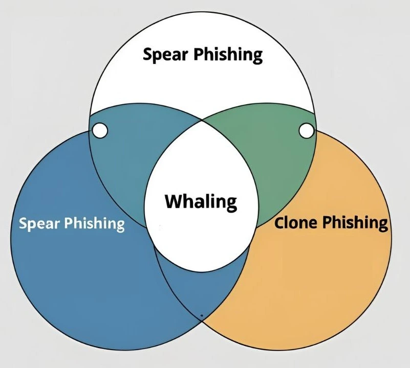 types-of-whaling